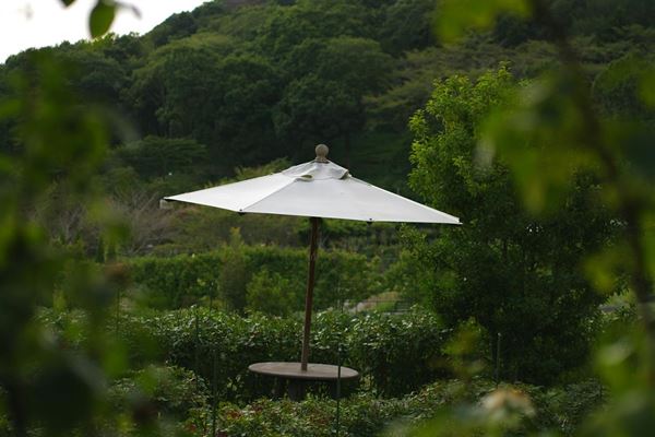 Have parasol - alt du behøver at vide