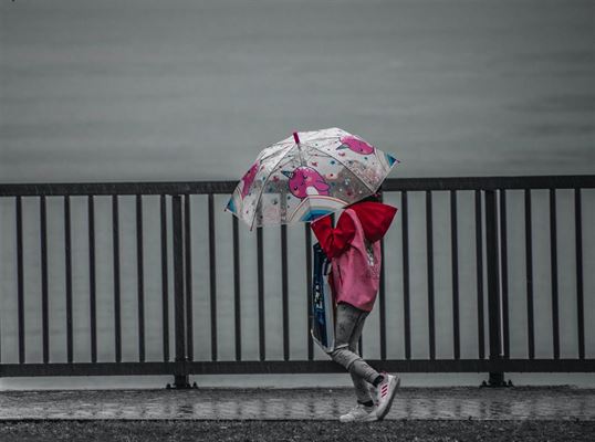 Hvad er en børneparaply, og hvorfor er den en nødvendighed?